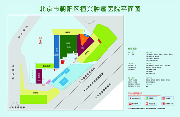 外国高潮日逼北京市朝阳区桓兴肿瘤医院平面图